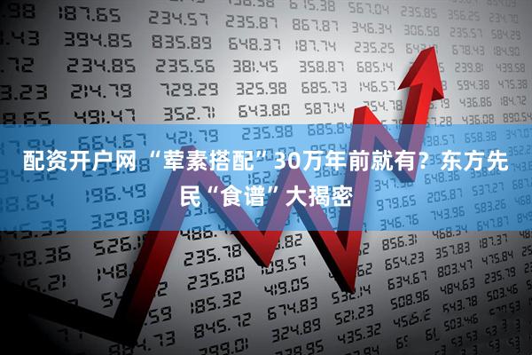 配资开户网 “荤素搭配”30万年前就有？东方先民“食谱”大揭密