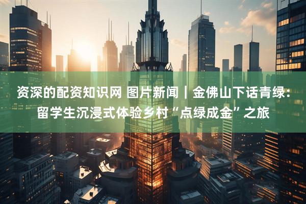 资深的配资知识网 图片新闻｜金佛山下话青绿：留学生沉浸式体验乡村“点绿成金”之旅
